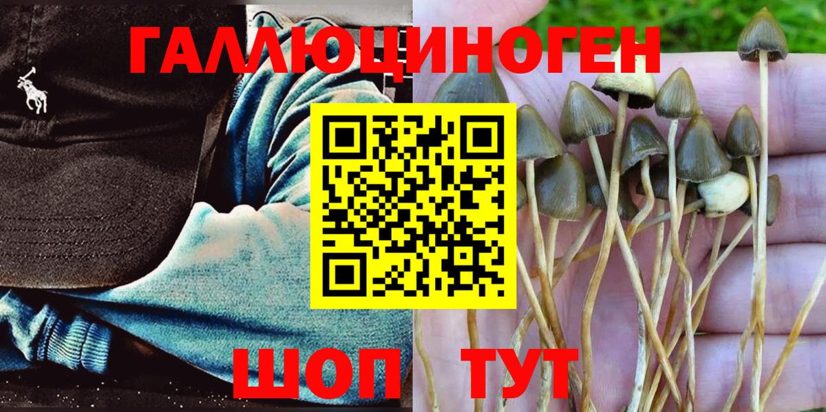дарнет шоп  Галлюциногенные грибы MAGIC MUSHROOMS  Вход с VPN  Галлюциногенные грибы мухоморы  Алексеевка 